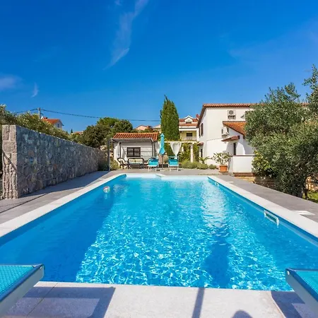 Vila Olive Tree