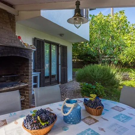 Vila Olive Tree