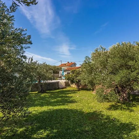 Casa vacanze Vila Olive Tree *